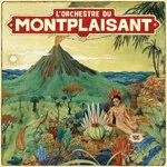 L'orchestre Du Montplaisant - L'orchestre du Montplaisant : LP
