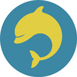 Cluekid - Dolphin / Fossil