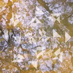 Koen Holtkamp - Liquid Light Forms : LP