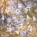 Koen Holtkamp - Liquid Light Forms