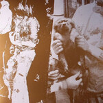 Nocturnal Emissions - Accumulator