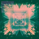 Bonobo - First Fires : 12inch