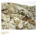 Cosmin Trg - Gordian : 2LP