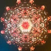 Gold Panda - Half Of Where You Live : 2LP