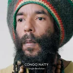 Congo Natty - Jungle Revolution : 2LP