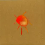 Paxton Fettel - Not Bad For A Tenner EP : 12inch