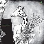 Mushrooms Project - Undergrass
