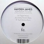 Hayden James - Permission To Love, Touch Sensitive : 12inch