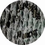 Lo Shea - A Hocht