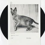 Pov - Adat / Oum : 12inch