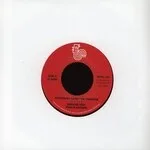Medline - Everybody Loves The Sunshine : 7inch