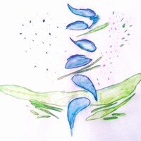 FIS - Iterations