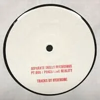 Hydergine - Perceptive Reality : 12inch