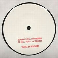 Hydergine - Perceptive Reality
