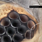 Biomechanica - BM-01
