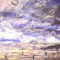Dasha Rush - Timid Ocean Drawings