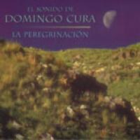 Domingo Cura - La Peregrinacion