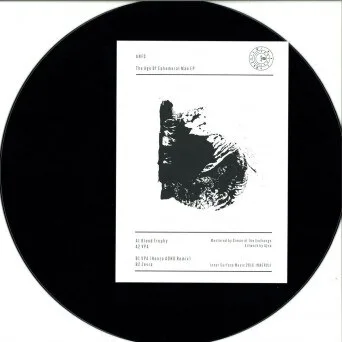 ANFS - The Age Of Ephemeral Man EP : 12inch