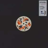 Sarathy Korwar - Day To Day Remixes : 12inch
