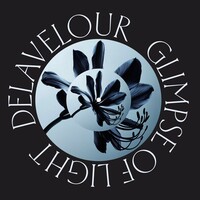 Delavelour - Glimpse Of Light (Fred Everything & Lee Curtiss Reworks)