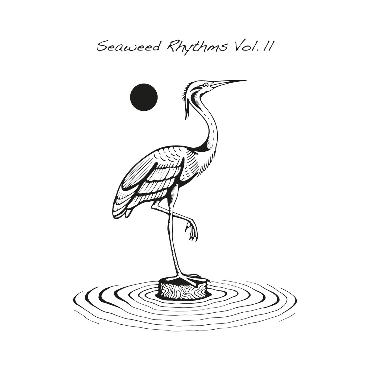 Various Artists - Seaweed Rhythms Vol.II : 12inch