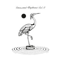 Various Artists - Seaweed Rhythms Vol.II