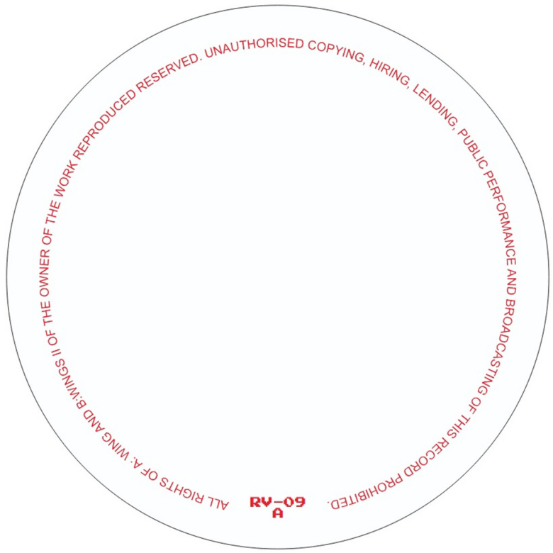 Ricardo Villalobos - Wings (Vinyl) | NEWTONE RECORDS