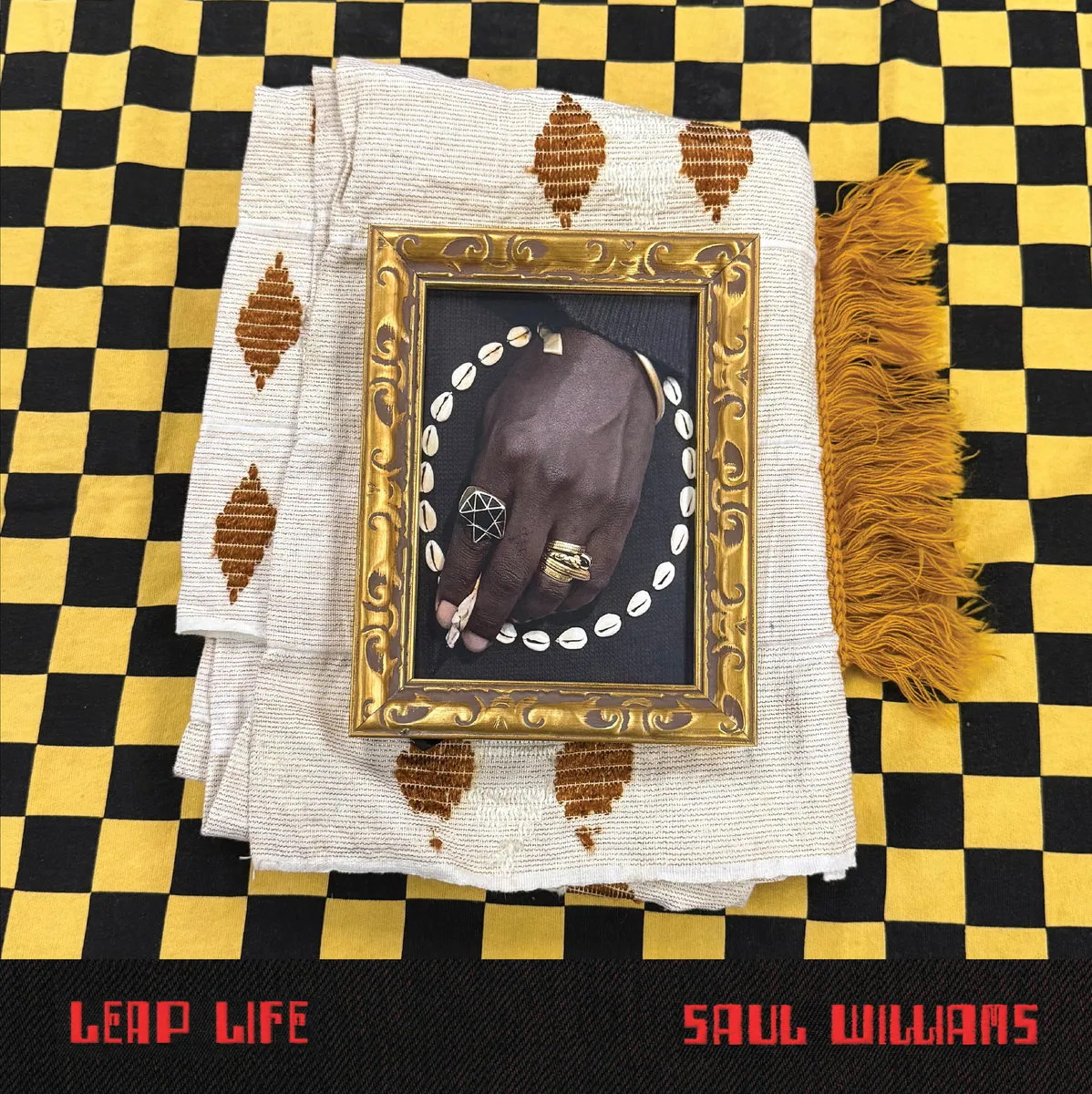 Saul Williams - Leap Life : 2LP