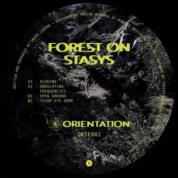 Forest On Stasys - Third Eye Dome : 12inch