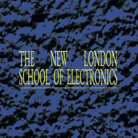 New London School Of Electronics - Voices Of The Rainforest