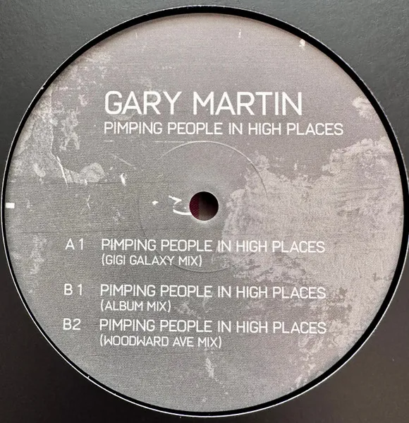 Gary Martin - Pimping People In High Places (reissue) : 12inch