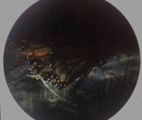 Autosim / Serge Geyzel - Split EP