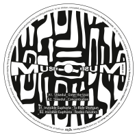 Shkedul, Invisible Euphoria - MUSEK 05