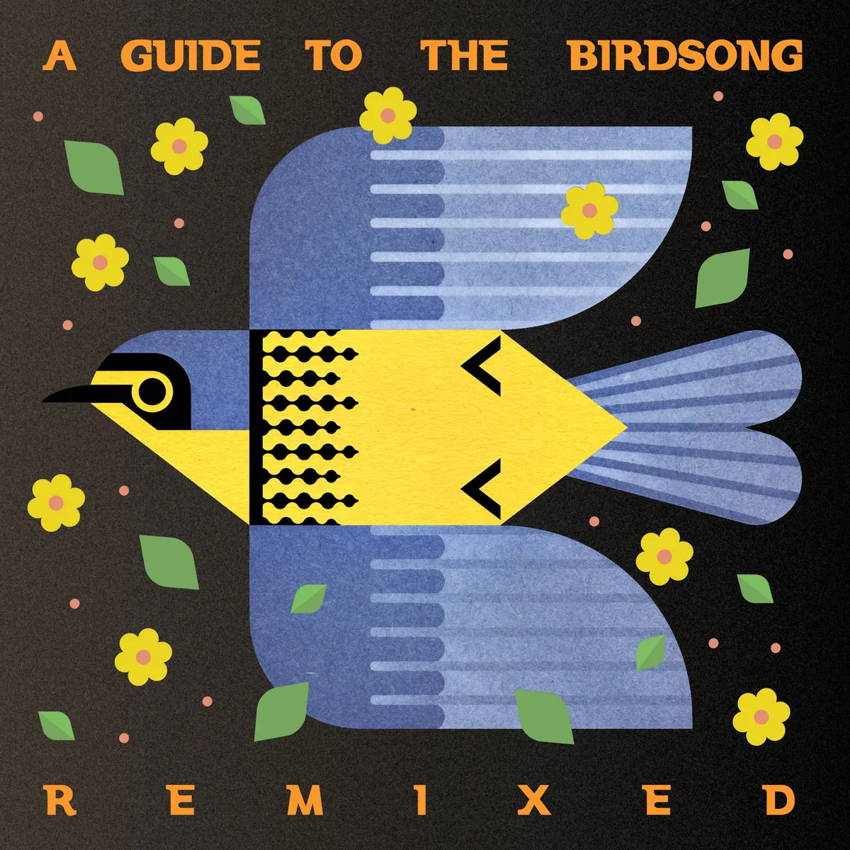 V.A - A Guide To The Birdsong Remixed : 2LP, 180g