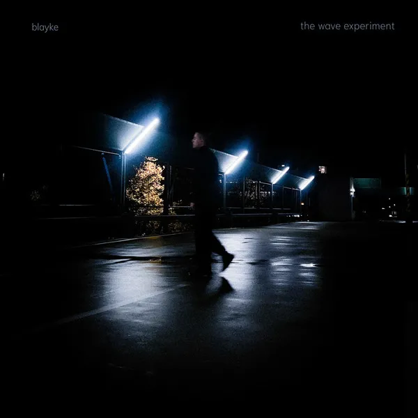 BLAYKE - the wave experiment : 12inch