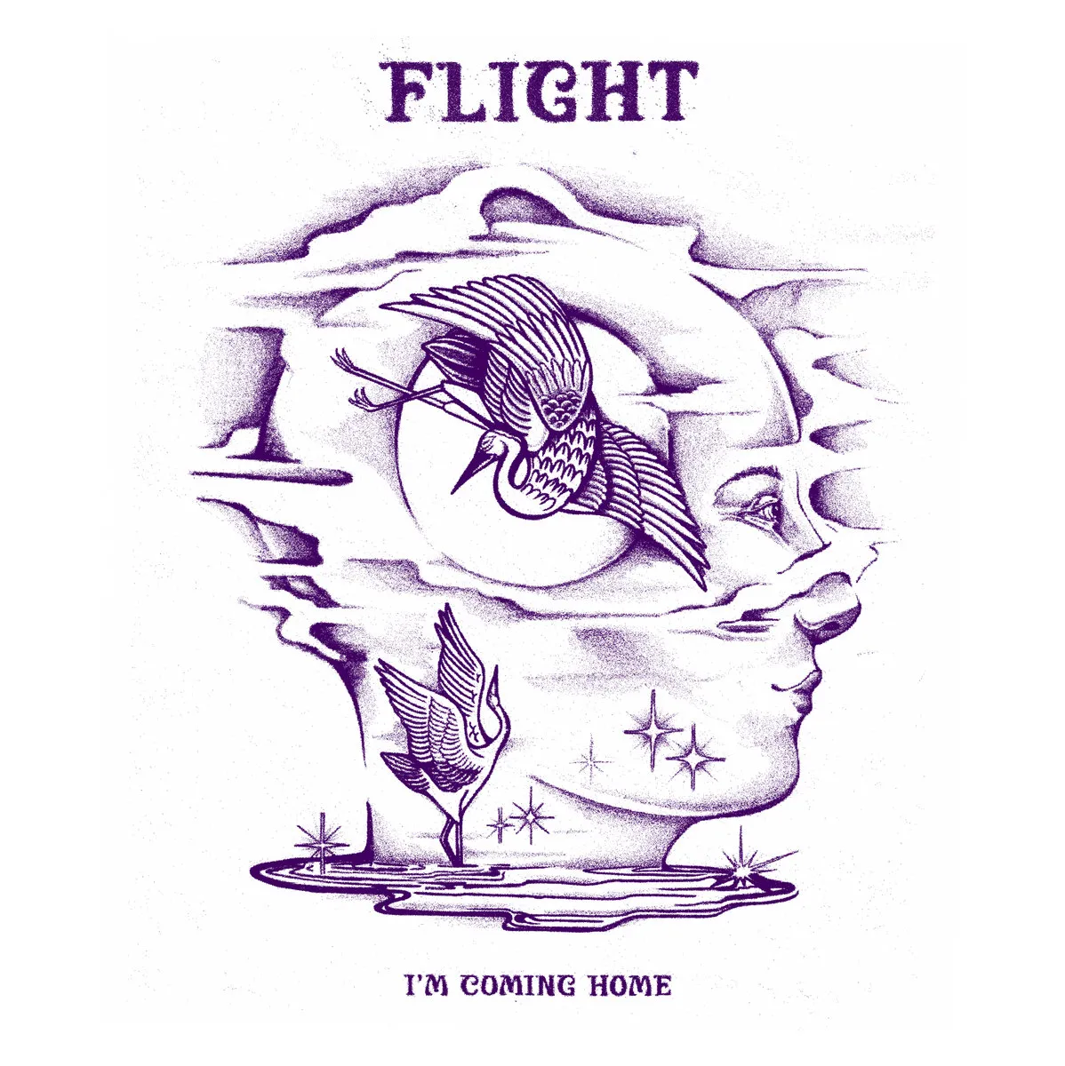 Flight - I'm Coming Home : LP